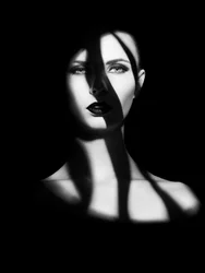 Dramatisch schaduwportret