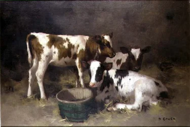 Drie Kalveren