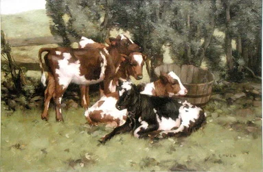 Drie kalveren, c.1920