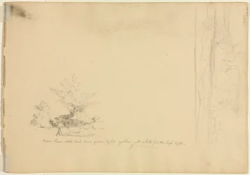 Landschaps- en boomstudies (verso)