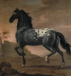 Het paard van Karel XI, de Blauwe Tijger, 1673