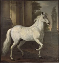Brilliant, het favoriete paard van Karel XI