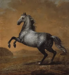 De kleine Engelsman, paard van koning Karl XI (1655-97)