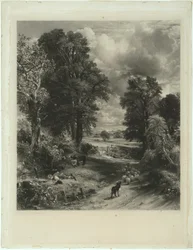 Het korenveld