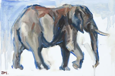 Stier Olifant, 2018