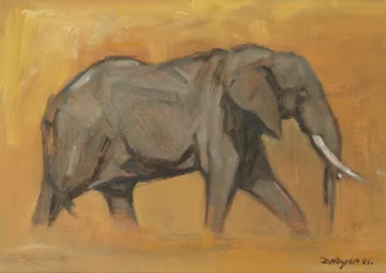 Stier Olifant, 2018
