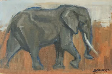 Stier olifant, 2019