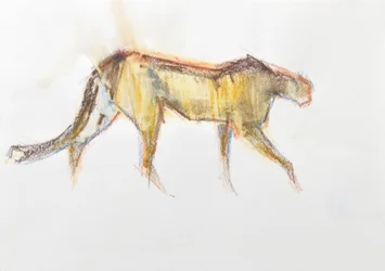 Jachtluipaard