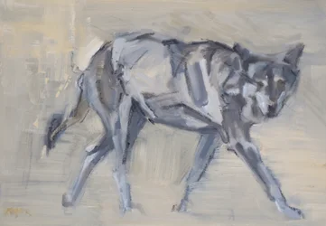 Wolf 11, 2023