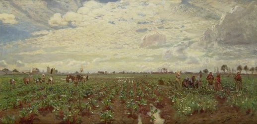 Landarbeiders, Nederland, 1880s