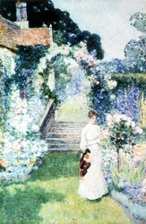 Rozen verzorgen in een Cheshire tuin