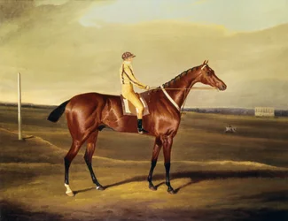 De Eerwaarde Robert Grosvenors Tawpy
