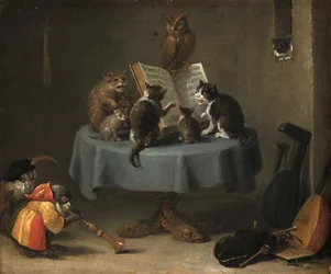 Het concert van de katten