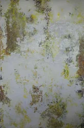 Samenvatting van ‘Distressed Earth’