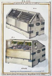 Houten kisten om zeldzame planten op schepen te vervoeren door Delahaye, uit Florindie ou Historie physico-economique des Vegetaux de la Torride
