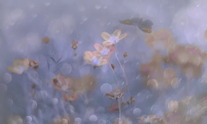 Dromerige pastelkleurige bloemen