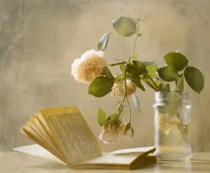 Verbleekte rozen – Open boek