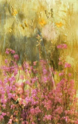 Vlinders van Golden Meadow