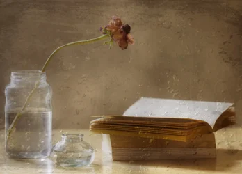 Melancholische bloei en boek