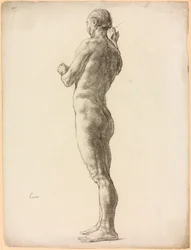 Een studie van een mannelijk figuur