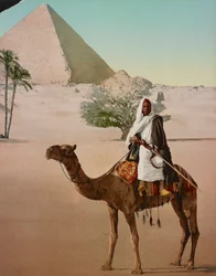 Bedoeïen op een kameel en de Grote Piramide, Caïro, Egypte