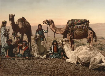 Kamelen Haltend in de Woestijn, Heilig Land, c.1890