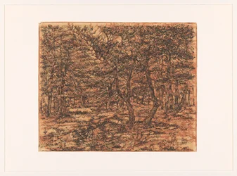 Boslandschap