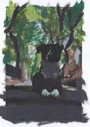 Roma subexpuesta, 2019 (acrylverf op afgedrukte foto)