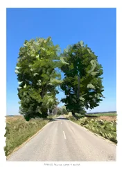 Tweelingbomen op de weg naar Golega, 2022 (digitaal kunstwerk gemaakt op iPad)