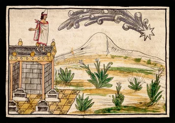 Montezuma observeert de komeet