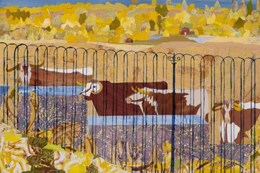 Dorstige langhoorns, hete zomer (collage)
