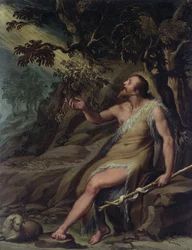 Sint Jan de Doper in de wildernis