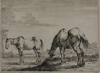 Grazen paard, plaat drie uit de serie van paarden