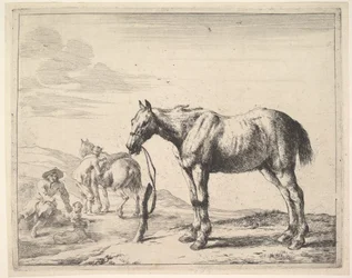 Paard gebonden aan een paal, naar links gedraaid