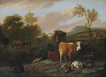 Animalia