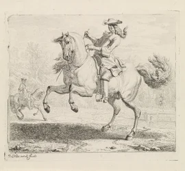 Steigerend paard met ruiter