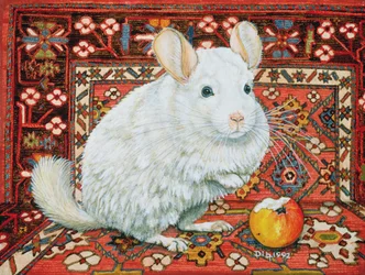 Het Tapijt-Chinchilla, 1992