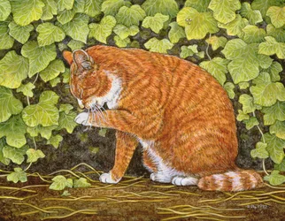 Wasdag, 1996