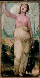 Vrouwelijk figuur
