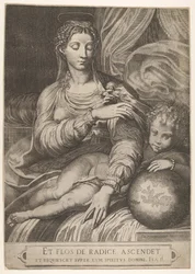 Madonna van de Roos, ze reikt naar een roos die door het Christuskind wordt vastgehouden