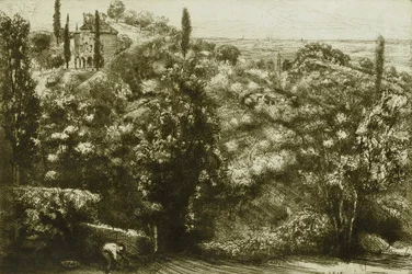 Avondschaduwen