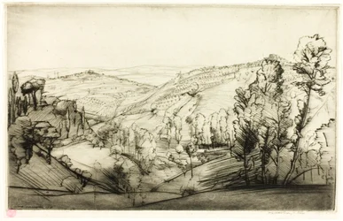 Velden van San Gimignano