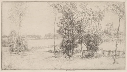 Sussex Landschap