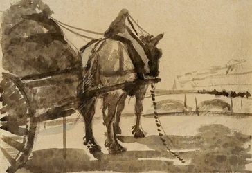 Het paard