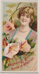 Morning Glories: Banden van genegenheid, uit de serie Bloemenschoonheden en de taal van bloemen