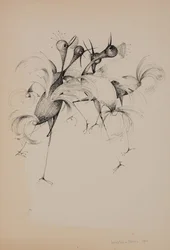 Vogels