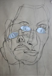 Portret met meerdere ogen