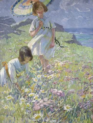 De top van een klif (olieverf op doek)