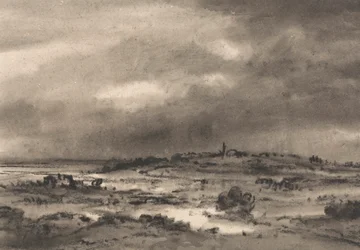 Compositie: Moeraslandschap