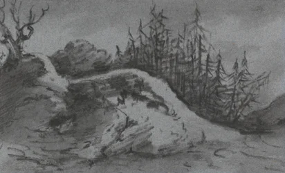 Compositie van rotsen en pijnbomen